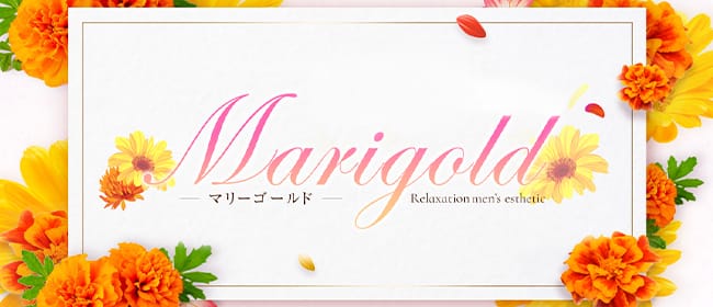 Marigold～マリーゴールド